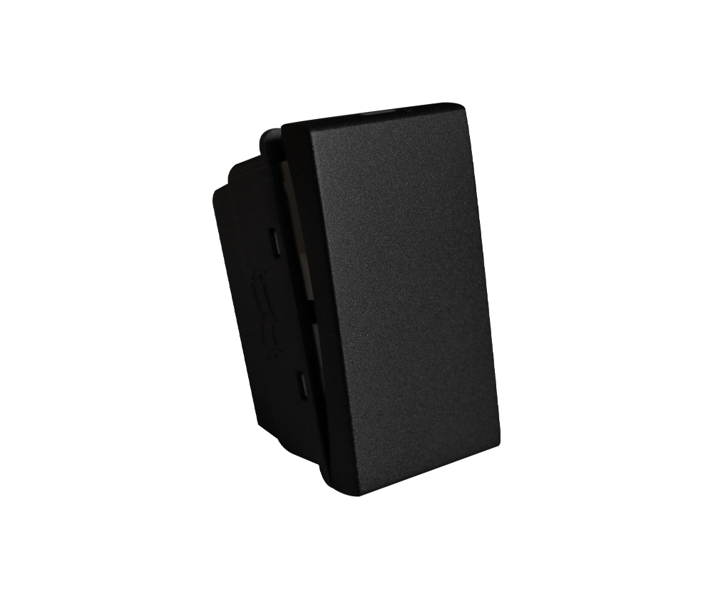 20A DP Switch Module