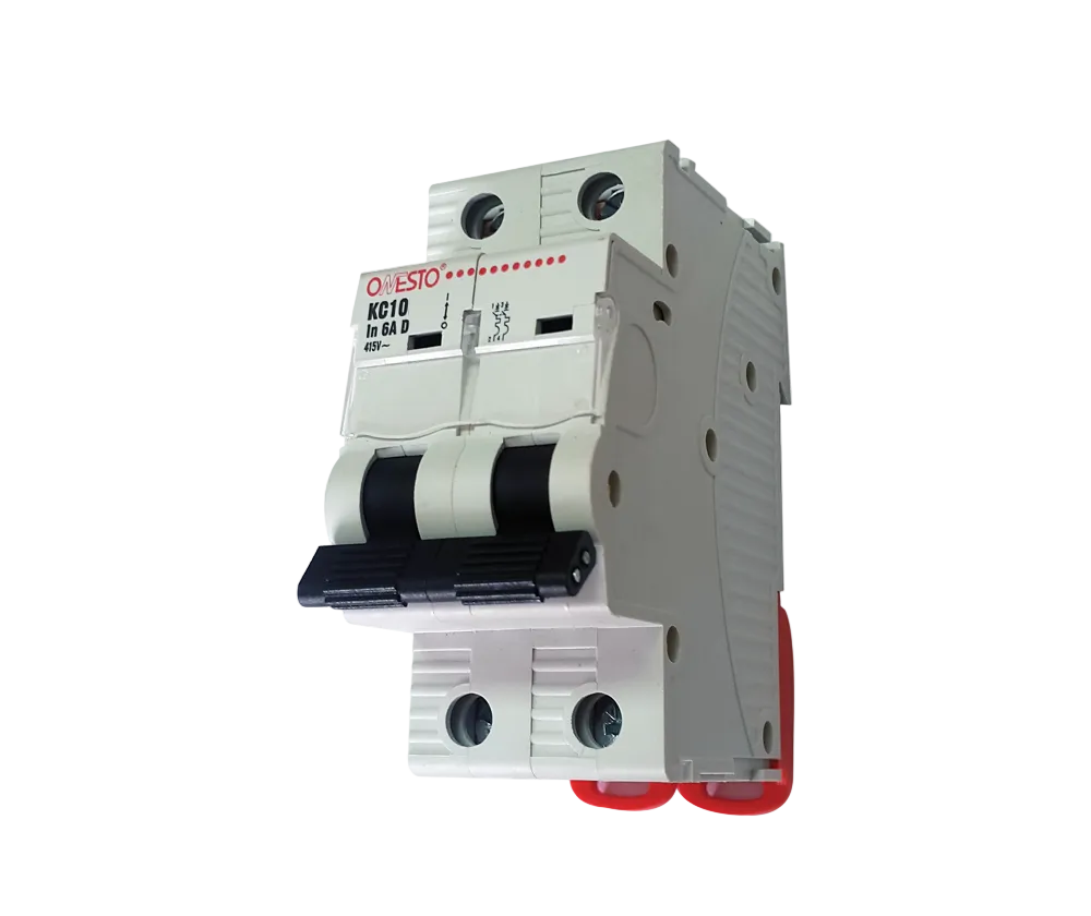 A double pole miniature circuit breaker with a 10kA breaking capacity, DIN rail mounted, predominantly gray in color with red accents.