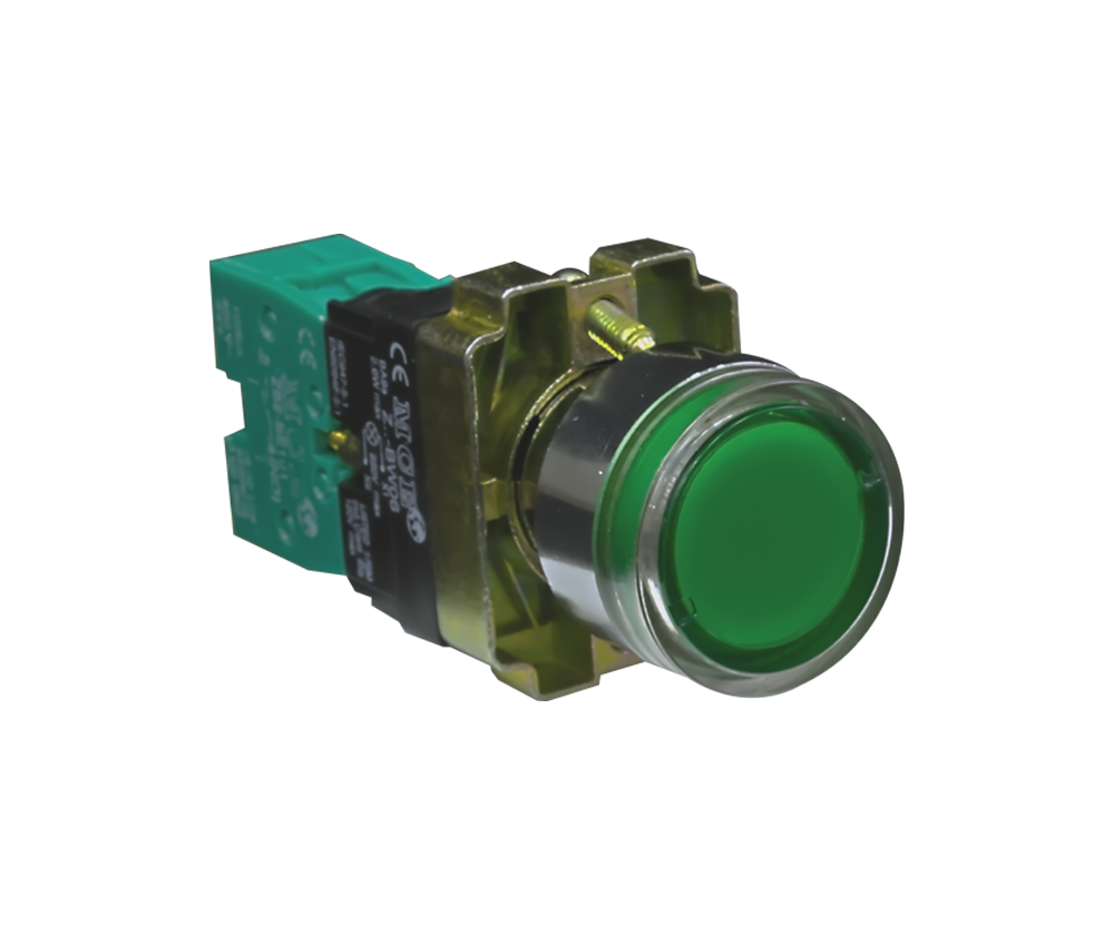 22mm Illuminated Steel Pushbutton