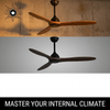 Ceiling Fans