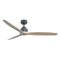 Ceiling Fans