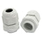 PG Glands