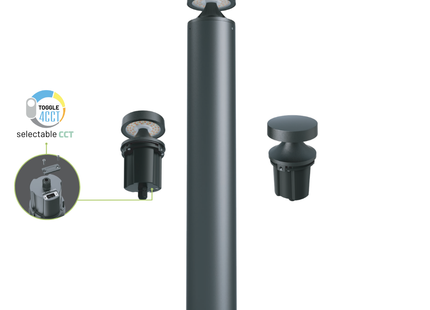 Bora LED Bollard Light