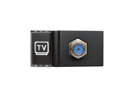 Satellite Module