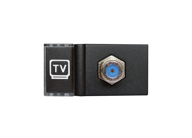 Satellite Module