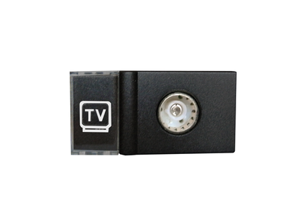 TV Module