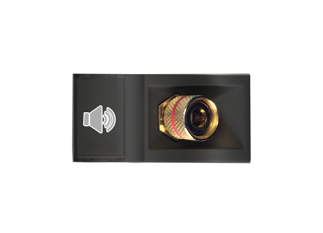 Audio Module - Positive Red