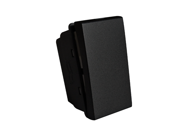 20A DP Switch Module