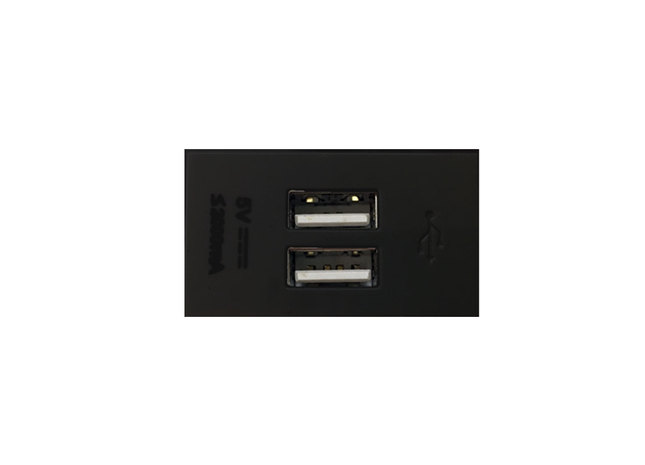 2 Port 2A 5V Black USB Socket