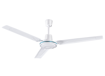Eco Ceiling Mount Fan