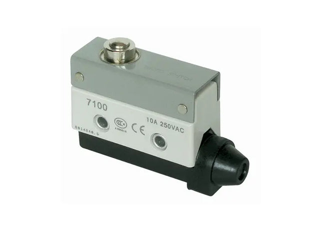 10A Plunger Type Micro Switch