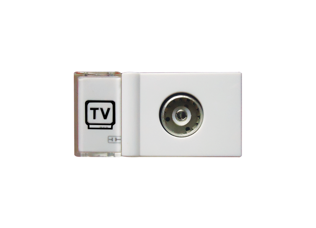 TV Module