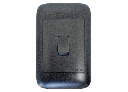 4X2 Black Intermediate Switch