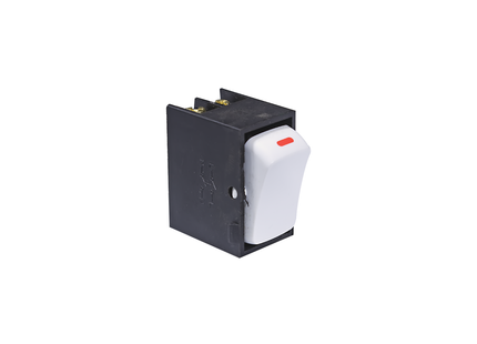 20A 2P Switch Module
