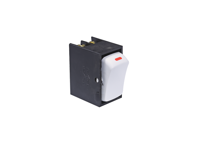 20A 2P Switch Module