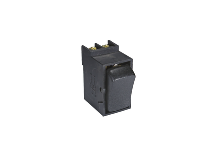 20A 2P Black Switch Module