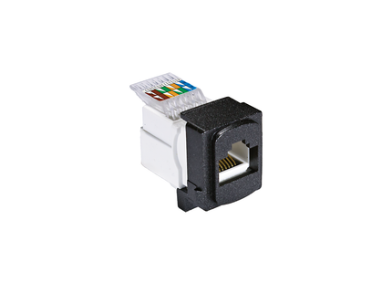 Black Data Module Cat 6