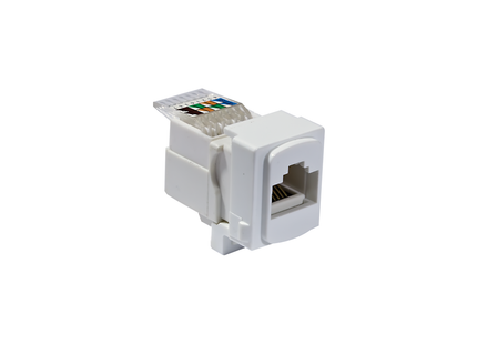 Data Module Cat 5