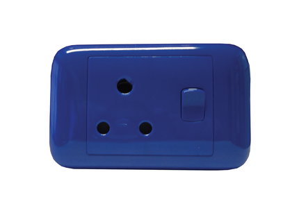 4X2 Blue Dedicated Switched Socket