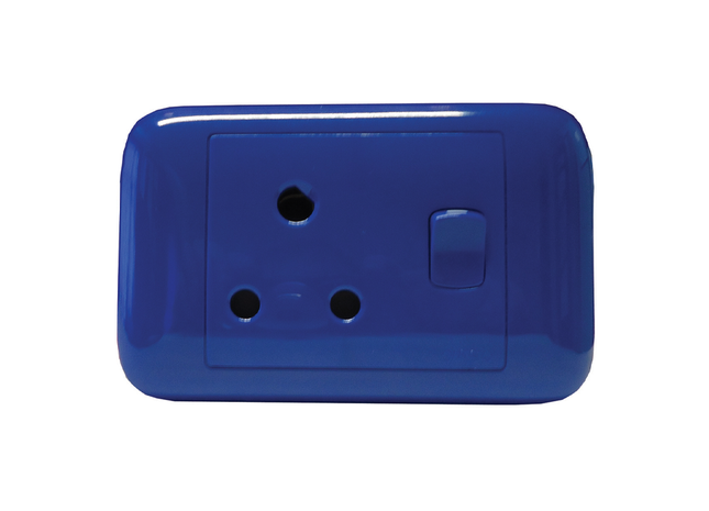 4X2 Blue Dedicated Switched Socket