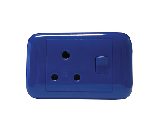 4X2 Blue Dedicated Switched Socket