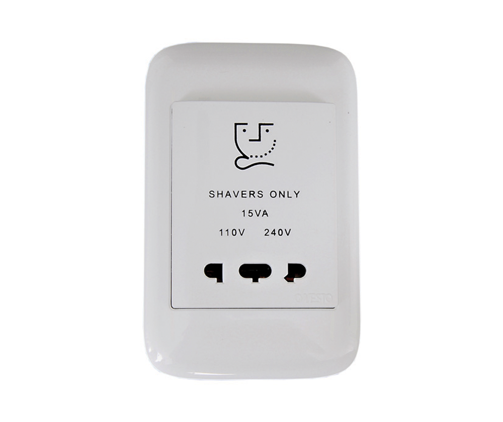 4X2 Shaver Socket