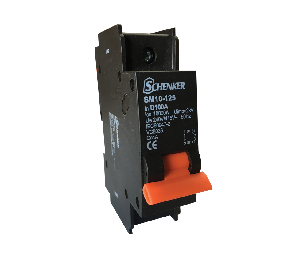 Single Pole D Curve 10kA Circuit Breaker