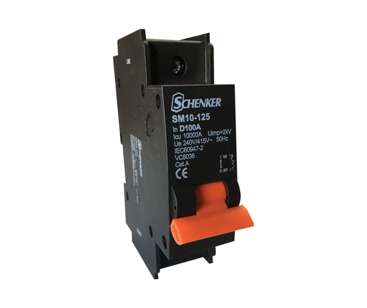 Single Pole D Curve 10kA Circuit Breaker