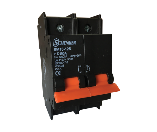 Double Pole D Curve 10kA Circuit Breaker