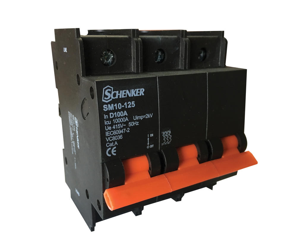 Triple Pole D Curve 10kA Circuit Breaker