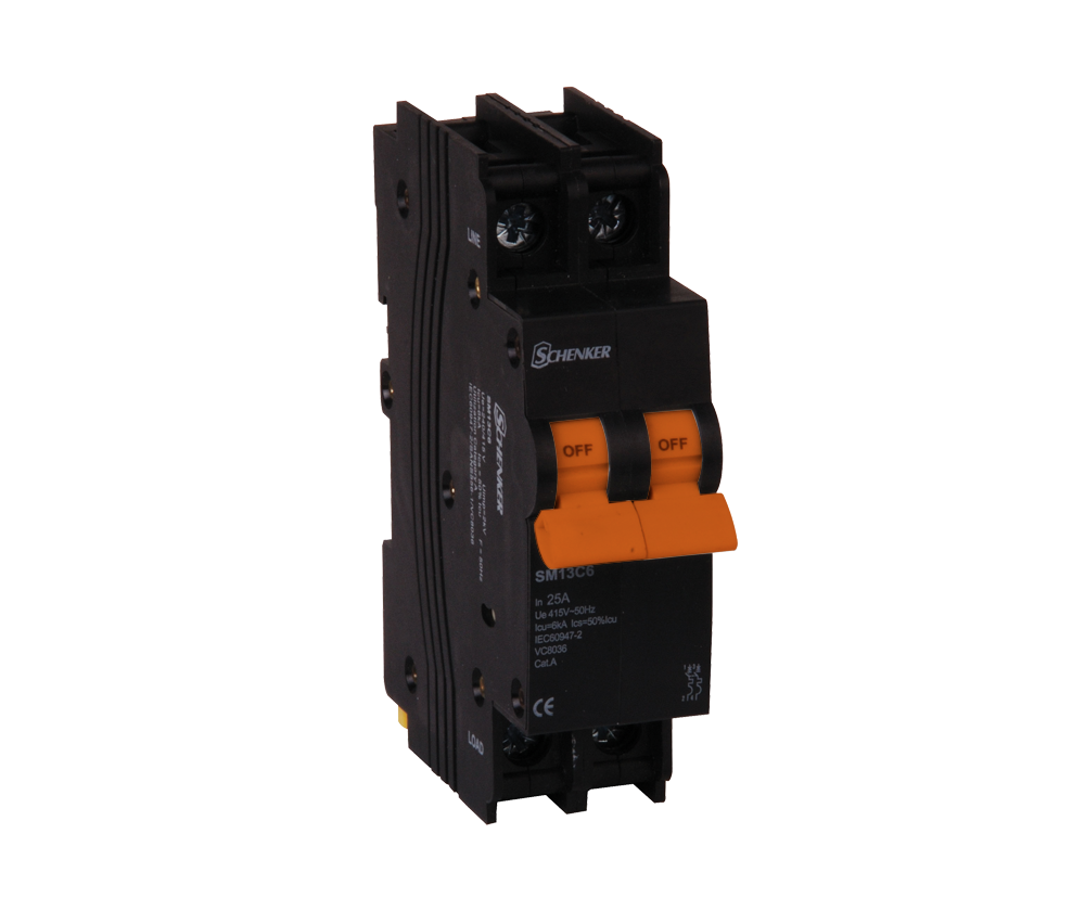 Double Pole D Curve 6kA Circuit Breaker