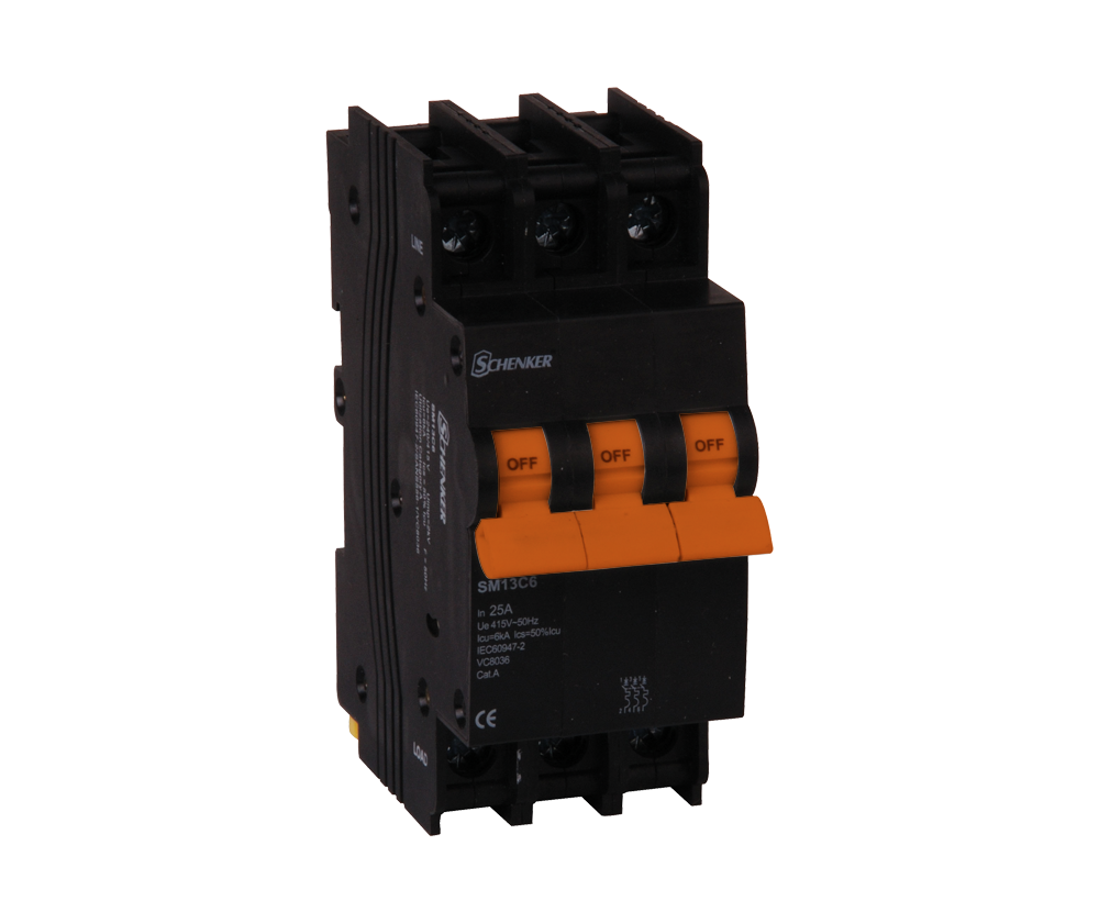 Triple Pole D Curve 6kA Circuit Breaker