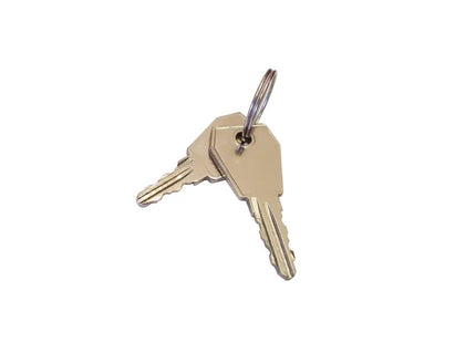 Swimming Pool Board Spare Key