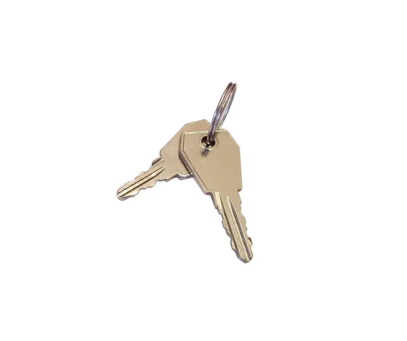 Swimming Pool Board Spare Key – Maple Leaf Electrical Supplies