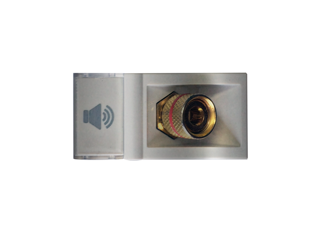 Audio Module - Positive Red