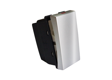 20A DP Switch Module