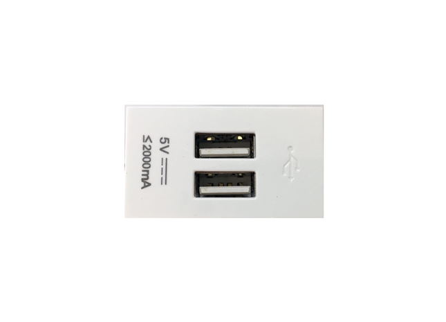 2 Port 2A 5V White Usb Socket