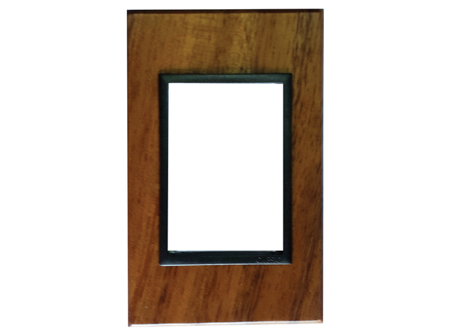 4 X 2 3 Lever Yoke Wood Grain