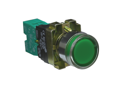 22mm Illuminated Steel Pushbutton