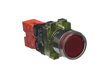 22mm Illuminated Steel Pushbutton