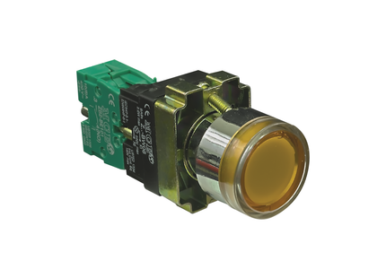 22mm Illuminated Steel Pushbutton