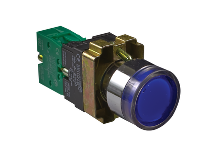 22mm Illuminated Steel Pushbutton