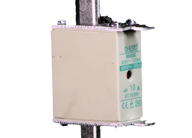 Motor Protection Fuse (Double Indication) 10A to 100A