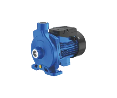 0.75kW 220VAC Centrifugal Clean Water Pump