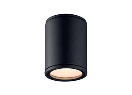 GU10 Ceiling Fitting