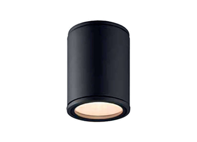 GU10 Ceiling Fitting